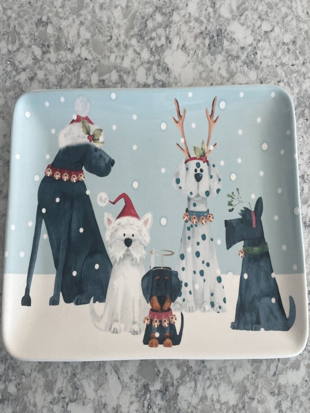 PIER 1 IMPORTS HOLIDAY PUPS PLATTER CHRISTMAS NWT - Picture 1 of 7